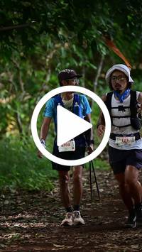 BIB:  <button type="button" onclick="openModal(27520493)" class="btn btn-primary btn-sm float-right" data-toggle="modal" data-target=".modal-high-quality">
                <i class="fa fa-download"></i> Download
                </button>